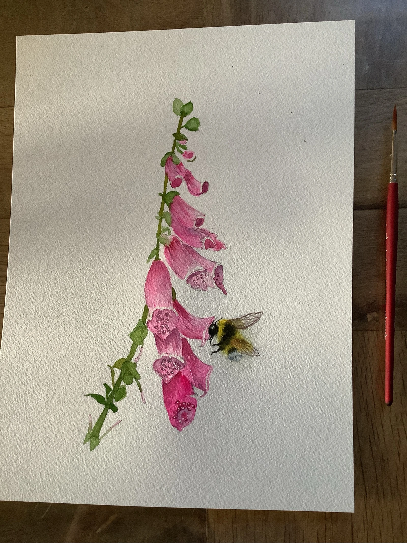 Aquarelle. Digitale et bourdon.